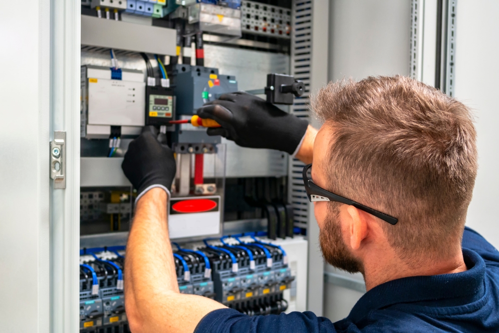 Professional checking on the electrical sysyem